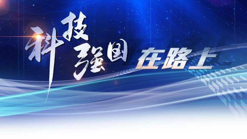 开源API网关与反向代理：本质区别与选择指南